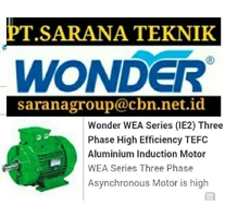 Wonder Electric Motor