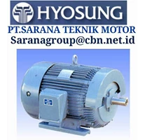 Hyosung Electric Motors High Medium Voltage