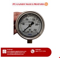 Pressure Gauge WIKA Model 213.53.063 0-300 psi