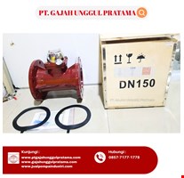 MULTI FUNCTION SEWAGE FLOWMETER SHM DN 150