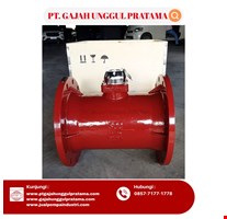 MULTI FUNCTION SEWAGE FLOWMETER SHM DN 300