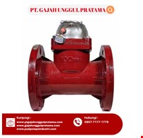 MULTI FUNCTION SEWAGE FLOWMETER SHM DN 100
