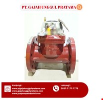 MULTI FUNCTION SEWAGE FLOWMETER SHM DN 80