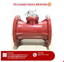 MULTI FUNCTION SEWAGE FLOWMETER SHM DN 200