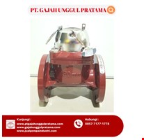 MULTI FUNCTION SEWAGE FLOWMETER SHM DN 50