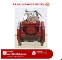 MULTI FUNCTION SEWAGE FLOWMETER SHM DN 65