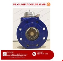 WOLTMAN FLOWMETER SHM PULSE DN 100 ( 4 Inci ) 