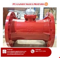 WOLTMAN FLOWMETER HOT SHM DN 250 (10 Inci) 