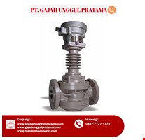 DN15 SHM ROOTS ANALOG FLOWMETER HOT 1/2 INCH 