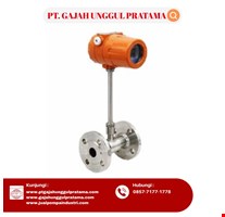 Thermal Mass Flow Meter Hot SHM 1/8 Inch DN 10