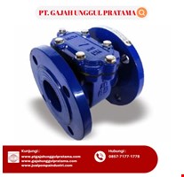 Bulkstrain Strainer SHM Size 2 1/2 Inch DN 65