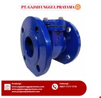 Bulkstrain Strainer SHM Size 2 Inch DN 50