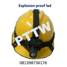 Distributor Flashlight Explosion Proof Tormin BW6310 Indonesia
