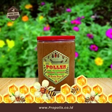Bee Pollen Plus Anti Aging 600 gram