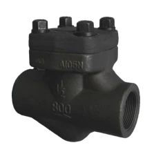 Check Valve (Forged Steel/ A105/ SUS 316/SUS30)