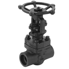 Gate Valve (Forged Steel/ A105/ SUS 316/SUS304)