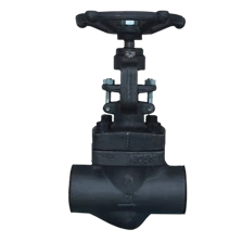 Globe Valve (Forged Steel/ A105/ SUS 316/SUS304)