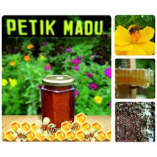 Madu Sarang / Honey Comb / Pure Honey 350gram kemasan Toples Hexa
