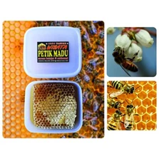 Madu Sarang Honey Comb Fresh Honey 250 gram