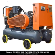 Swan Screw Air Compressor Manual