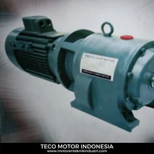 Distributor Electric Motor TECO Indonesia