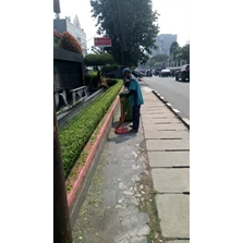 Perawatan taman menyapu sampah area jalan di Asuransi Bintang 02/07/22