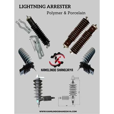 Lightning	Arrester (LA) (Polymer &	Porcelain)