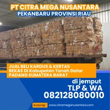 harga limbah kardus bekas perkilo pekanbaru PT CITRA MEGA NUSANTARA