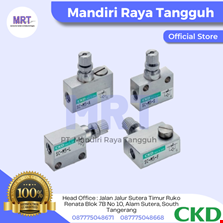 CKD Cylinder and Valve