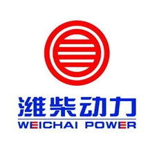 Weichai Power WD10C190
