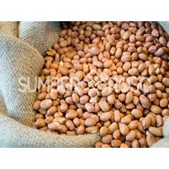 Distributor Kacang Tanah Kupas Jakarta