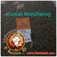 Wild Civet Coffee - Kopi Luwak Liar 