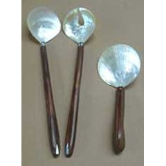 spoon made from mother pearl shell