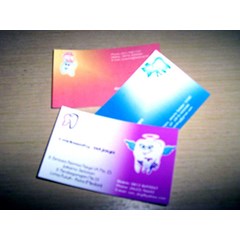 kartu nama full color, caleg, capres(pilpres), dpd,