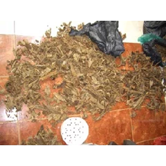 agarwood, gaharu, sandalwood, dll (etc).