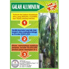 silverpole/galah sawit