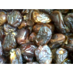 kurma