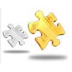 custom software