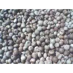 betel nuts ( biji pinang )