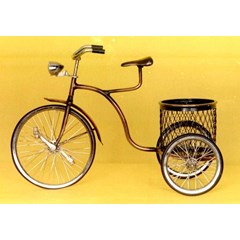 sepeda keranjang/ sepeda roda tiga/ sepeda antik/ sepeda basket ball