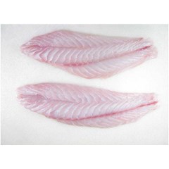 frozen grouper fillet