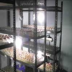 paket laboratorium skala rumah tangga  kapasitas 1.000 kultur