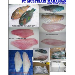 frozen parrotfish