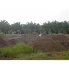 palm kernel shell ( cangkang kelapa sawit )