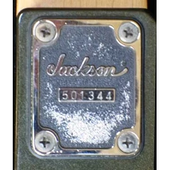 jackson professional concert v bass-10