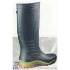 ap boot 2006 gr