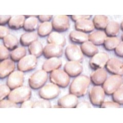 mucuna cochinchinesis seed