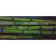 tebu khusus juice