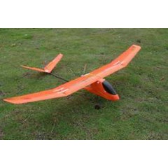 rtf gold eagle bxl