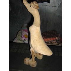 bebek cantik
